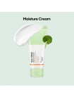 Крем для проблемной кожи A'PIEU The Pure Tea Tree Moisture Cream 60мл