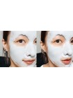Очищающая кислородная маска ELIZAVECCA Milky Piggy Carbonated Bubble Clay Mask 100 мл
