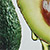 Авокадо (Avocado)