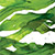 Ламинария (Kelp)