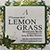 Herb Lemongrass - лимонник