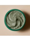 Очищающая глиняная маска с полынью AXIS-Y Mugwort Pore Clarifying Wash Off Pack 100 мл