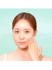 Успокаивающий крем с пробиотиками CKD Lactoderm Beneficial Heartleaf Moisturizing Cream 50 мл