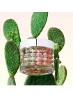 Капсульный крем с экстрактом кактуса Dr.Melaxin Cactox Pore Relief Dual Capsule Cream 65 гр