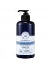 Маска для волос Dr.SEED Super Seed Bomb Nourishing Treatment Midnight Rose 500мл