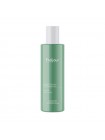 Отшелушивающая эссенция для лица  EVAS Fraijour Original Wormwood PHA Peeling Essence 120мл