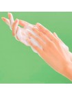Слабокислотная пенка для кожи с акне EVAS Fraijour Heartleaf Blemish pH Balanced Cleansing Foam 250мл