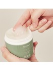 Успокаивающий крем с экстрактом полыни EVAS Fraijour Original Herb Wormwood Calming Watery Cream 100 мл