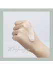 Успокаивающий крем с экстрактом полыни EVAS Fraijour Original Herb Wormwood Calming Watery Cream 100 мл