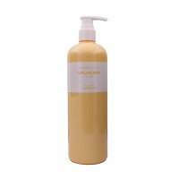 Питательный шампунь с яичным желтком EVAS Nourishing Solution Yolk-Mayo Shampoo - 100/480 мл