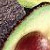 Avocado - Авокадо