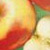 Apple - Яблоко