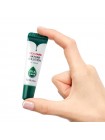 Бальзам для губ с центеллой азиатской FARMSTAY Cica Farm Nature Solution Lip Balm 10гр Бальзам для губ с центеллой азиатской FARMSTAY Cica Farm Nature Solution Lip Balm 10гр