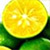Calamansi - Каламанси