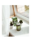 Многофункциональная сыворотка с экстрактом семян зеленого чая FARMSTAY Green Tea Seed All-In-One Ampoule 250мл