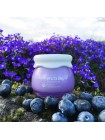 Увлажняющий крем для лица FRUDIA Blueberry Hydrating Cream - 55 мл