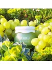 Себорегулирующий крем для лица FRUDIA Green Grape Pore Control Cream - 55 мл