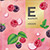 Raspberry