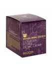Коллагеновый увлажняющий крем для лица MIZON Collagen Power Lifting Cream  - 35/75 мл