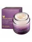 Коллагеновый увлажняющий крем для лица MIZON Collagen Power Lifting Cream  - 35/75 мл