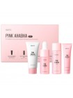 Набор миниатюр средств с кислотами Nacific Pink AHA BHA Kit