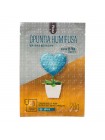 Тканевая маска NOHJ Opuntia Humifusa Mask Pack - 25 гр