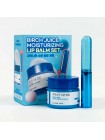 Увлажняющий бальзам для губ Round Lab Birch Juice Moisturizing Lip Balm 20гр