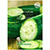 Cucumber - Огурец