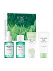Набор против акне с BHA и центеллой Skin1004 Tea-Trica Travel Kit