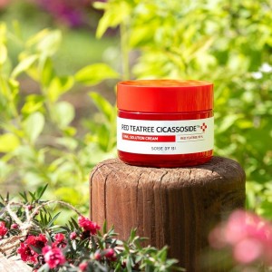 Крем для чувствительной и проблемной кожи Some By Mi Red Tea Tree Cicassoside Final Solution Cream 60гр
