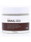 Антивозрастной ампульный крем с муцином улитки TENZERO Rich Snail Ampoule Cream 2X 70гр