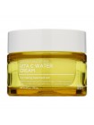 Освежающий крем с экстрактом зеленого мандарина TENZERO Green Tangerine Vita C Water Cream 50гр
