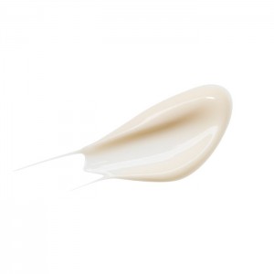 Антивозрастной крем для лица THE SAEM Chaga Anti-Wrinkle Cream - 60 мл