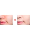 Матирующая рассыпчатая пудра THE SAEM Saemmul Perfect Pore Powder - 5 гр