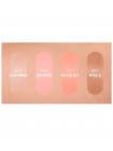 Румяна-стик для лица The Saem Perfect Glam Stick Blusher 6гр.