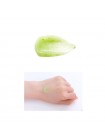 Интенсивно увлажняющая ночная маска THE SAEM Urban Eco Harakeke Deep Moisture Sleeping Pack 80мл