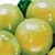Green Grape - виноград