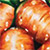 Carrot - морковь