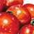 Tomato - томат