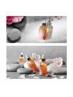 Сыворотка с муцином улитки VILLAGE 11 FACTORY Snail Ampoule 50 мл