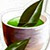 Green Tea – зеленый чай
