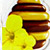Canola Honey – Мед канолы